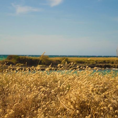 Borgo Degli Artisti Villa ออสตูนี ภายนอก รูปภาพ